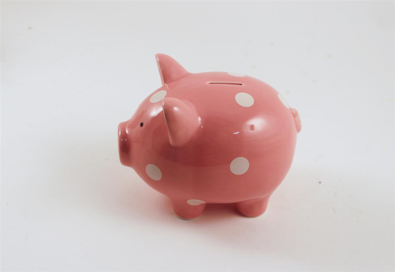 Ceramic Piggy Bank