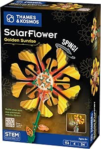 Solar Flower-Golden Sunrise