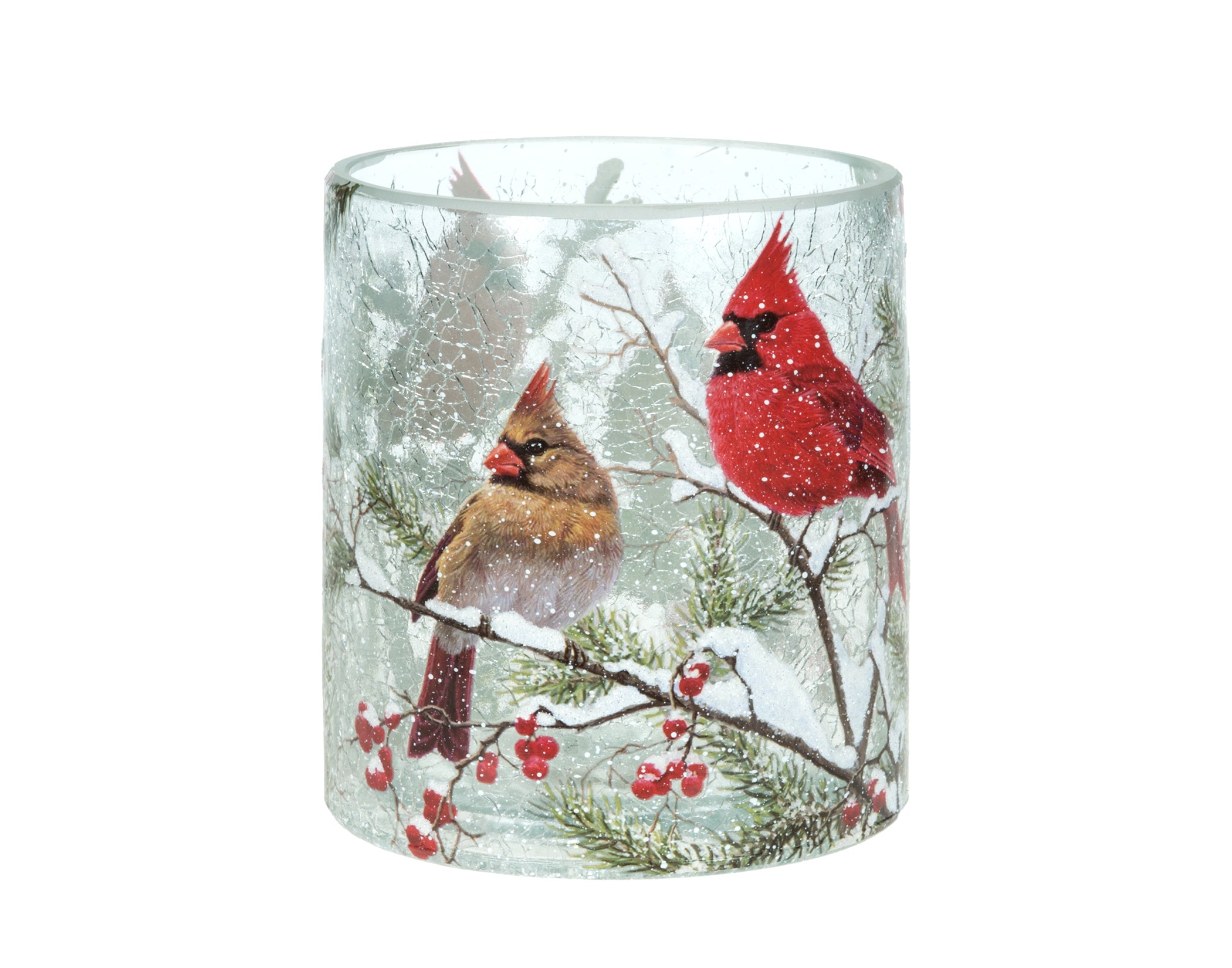 Hurricane  With Cardinals