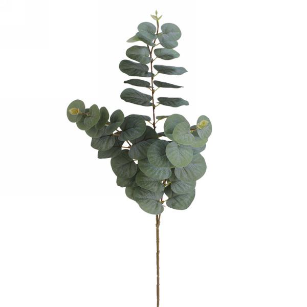 Dark Green Foliage Branch