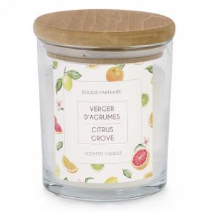 Citrus Grove Glass Candle Jar