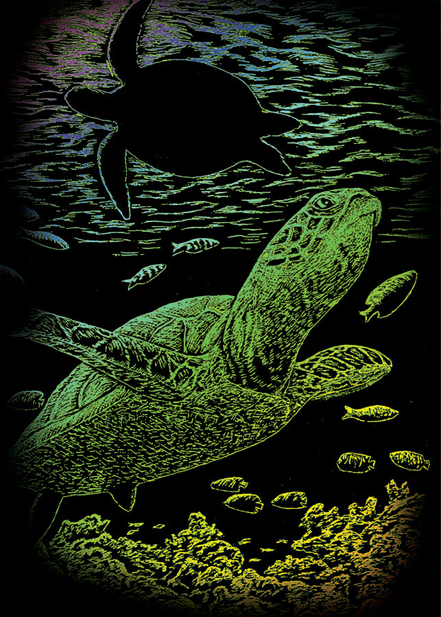 Royal & Langnickel Engraving Art: Undersea Turtle