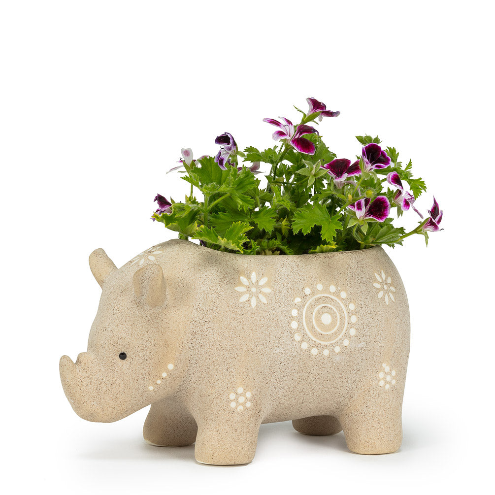 Cement Animal Planter