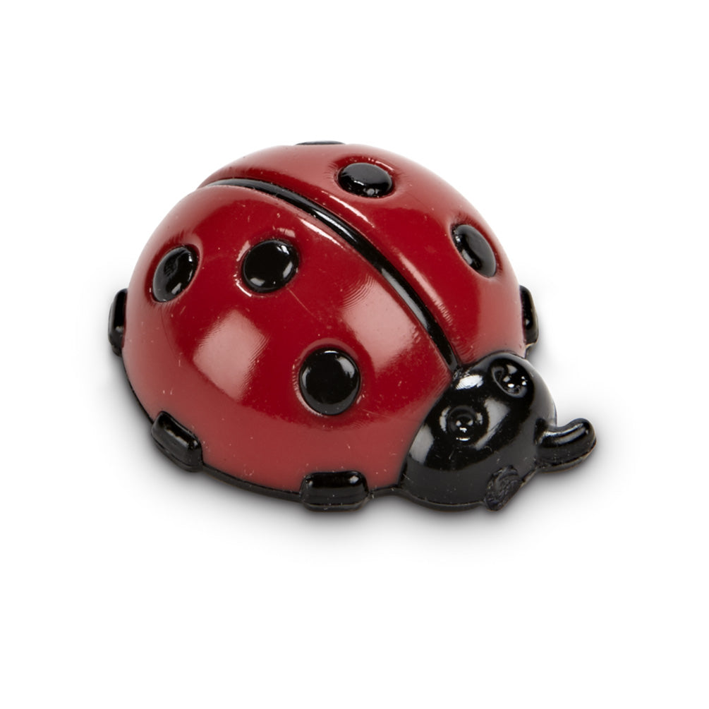Ladybug Magnet