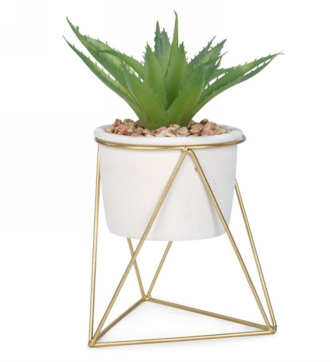 Plant in White Pot with Gold Stand