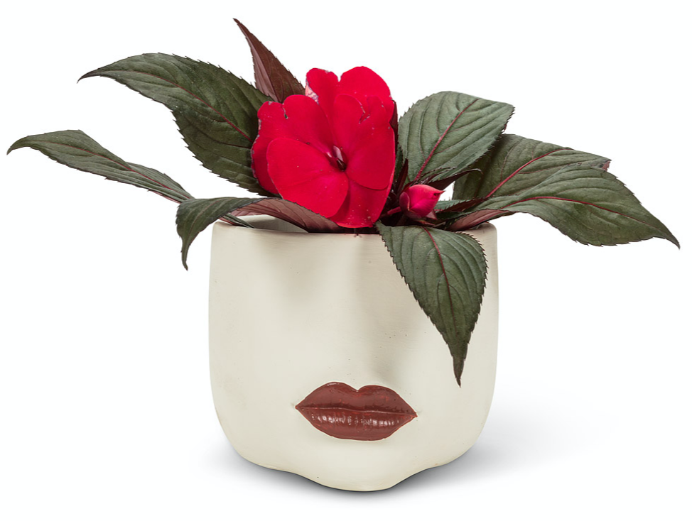 Red Lip Planter