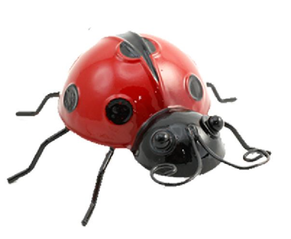 Small Metal Ladybug