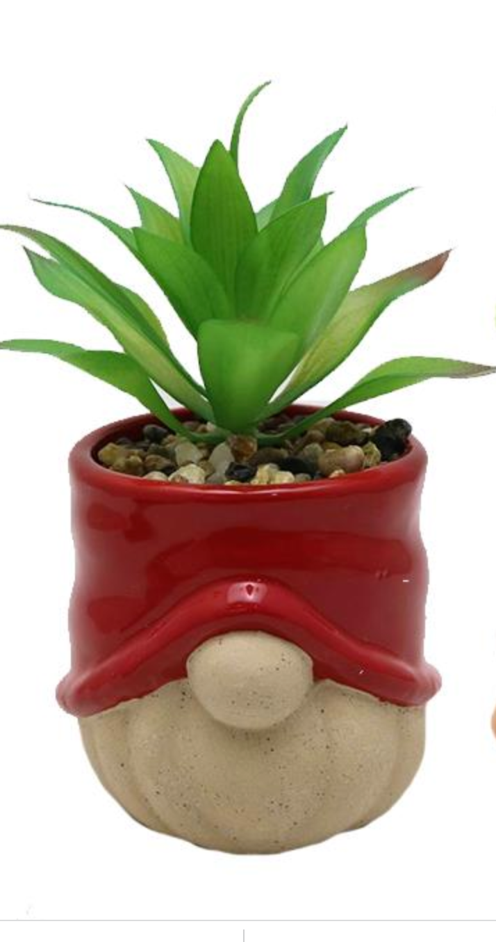 Gnome Planter with Plant