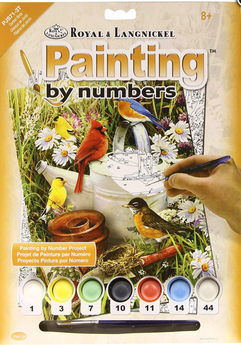 Royal & Langnickel Paint By Numbers: Garden Birds