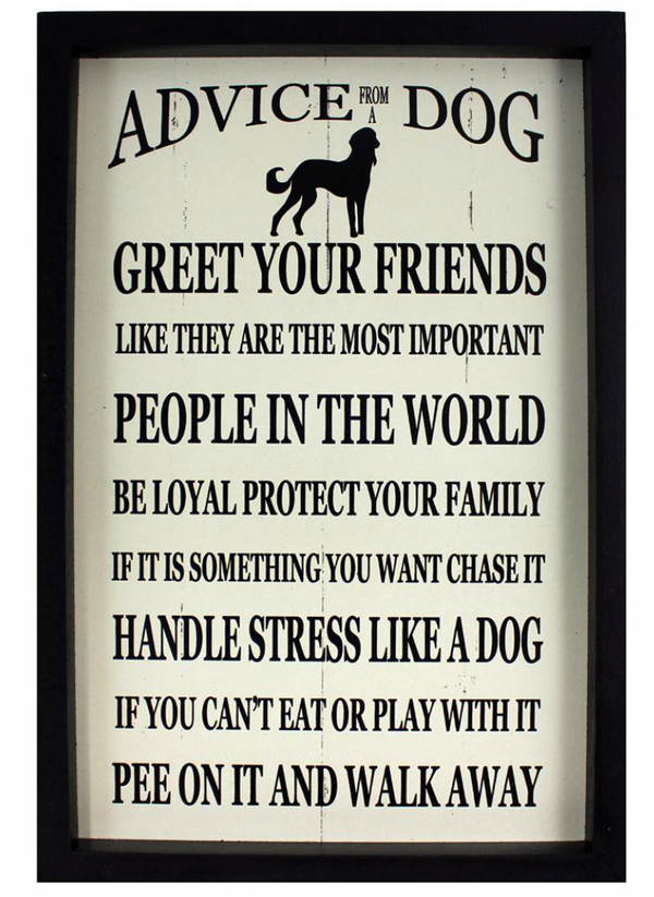 Advice From A Dog or Cat Sign