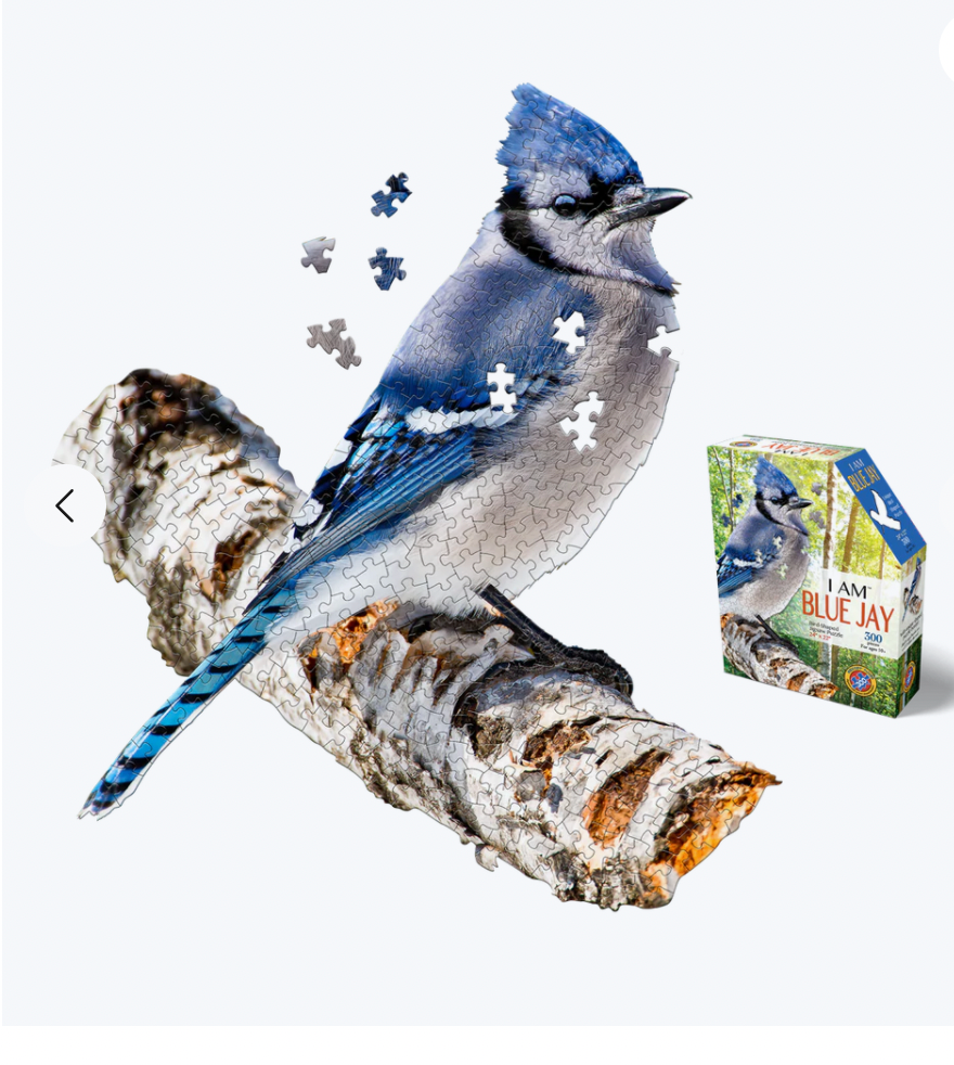 I AM Animal Puzzles: Assorted