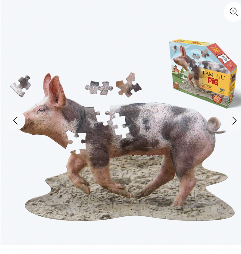 I AM Animal Puzzles: Assorted