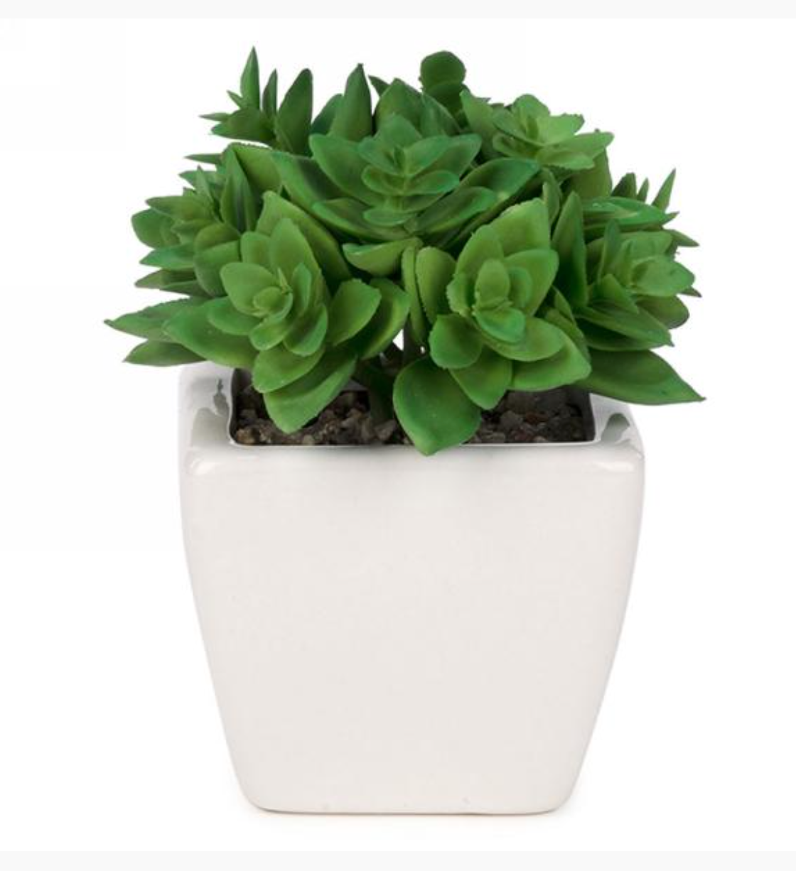 Artificial Succulent