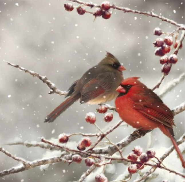 Luncheon Napkins-Winter Holiday and Christmas