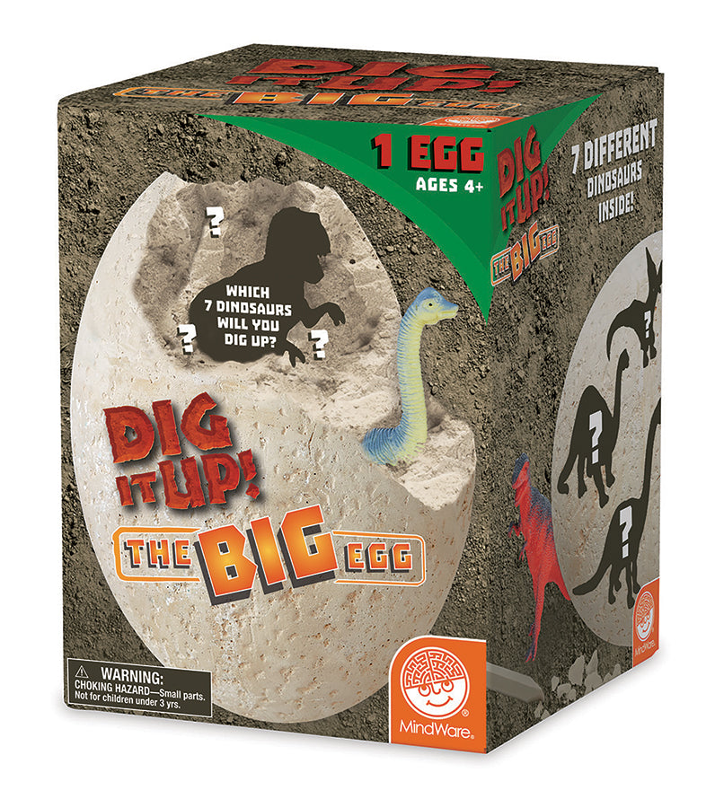 Dig It Up! The Big Egg