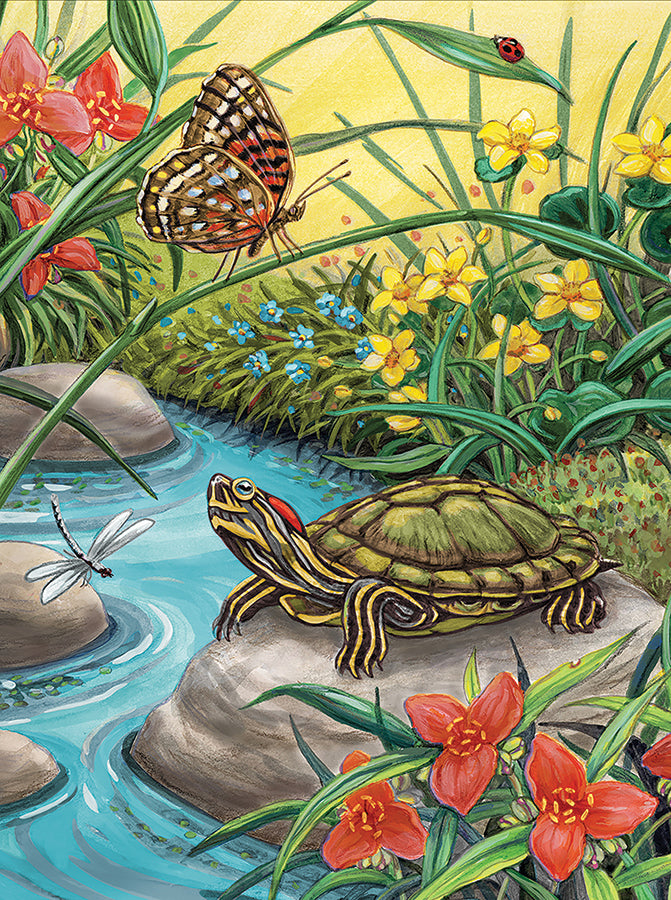 Royal & Langnickel Paint By Numbers: Red Eared Slider